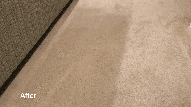 review: Tineco Carpet One Smart Carpet Cleaner