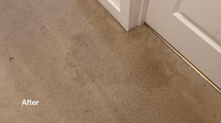 review: Tineco Carpet One Smart Carpet Cleaner
