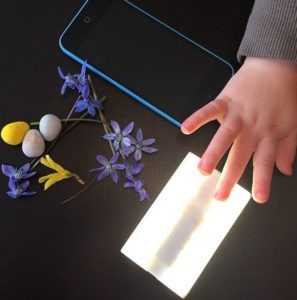 novalight