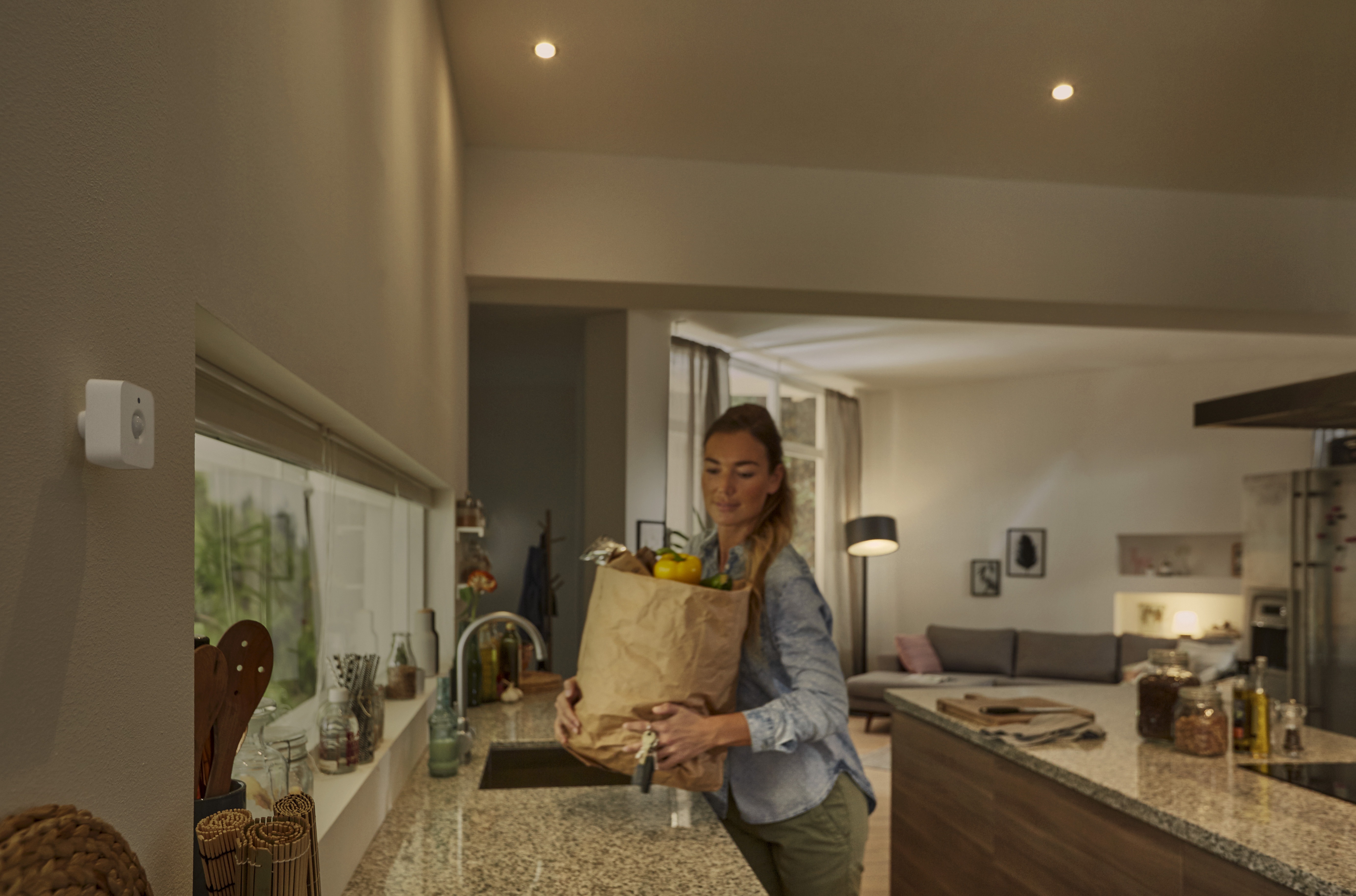 Philips Hue Motion Sensor - Use Case