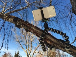 Joby gorillapod hybrid erinlyyc camera photo