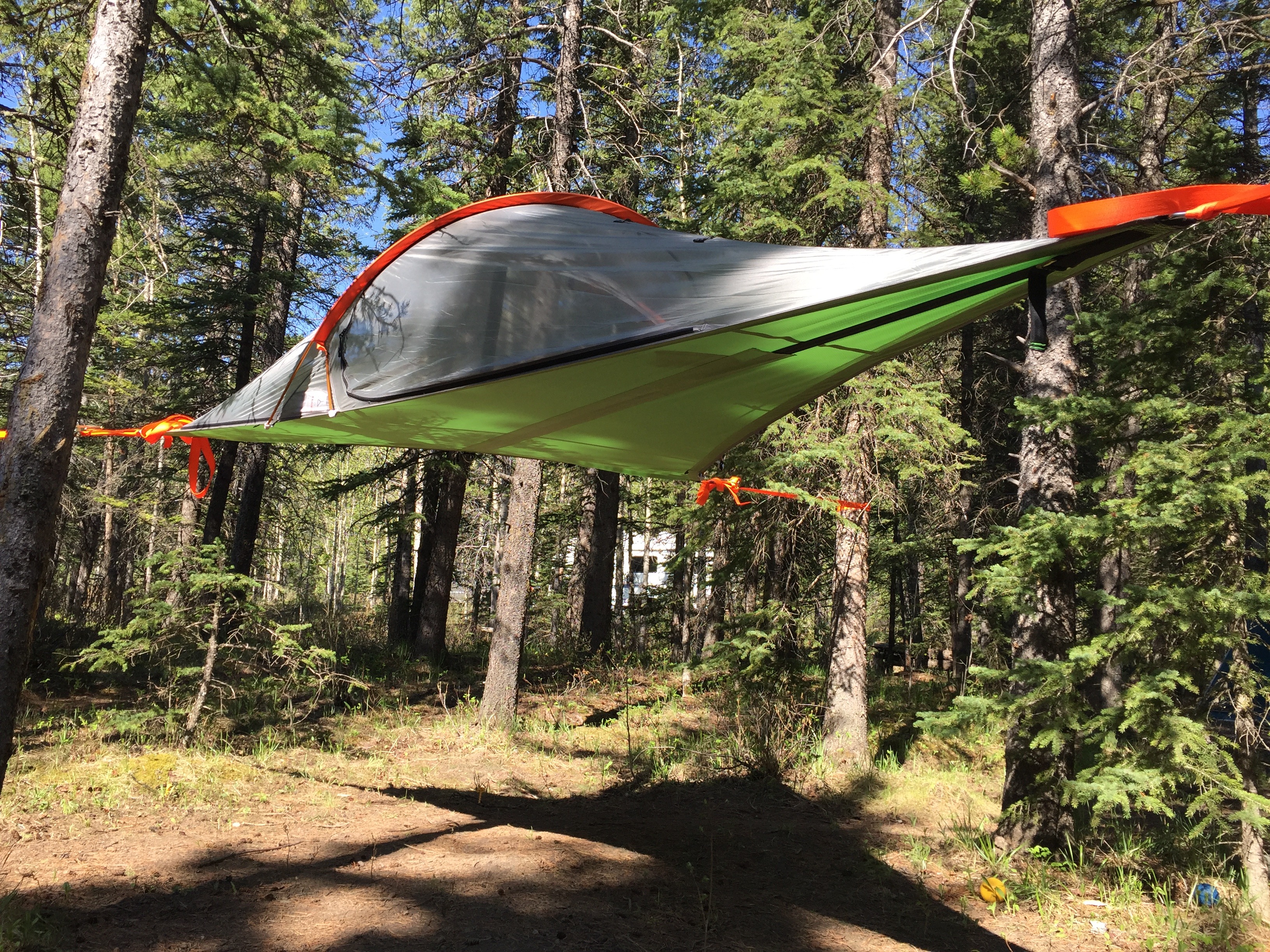 Tentsile air tree suspended tent review how to