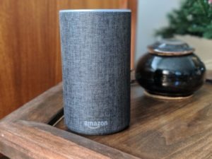 amazon echo dot review how to erin blogger canada