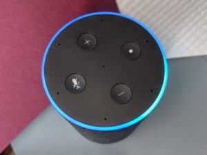 amazon echo dot review how to erin blogger canada