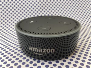 amazon echo dot review how to erin blogger canada