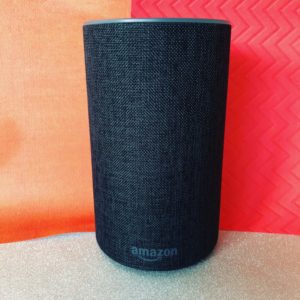 amazon echo dot review how to erin blogger canada