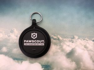 PAWSCOUT pet tag review how to
