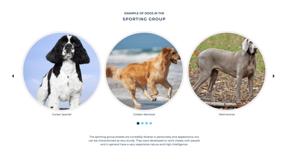 wisdom panel dog dna, review, report, breakdown, what does it show