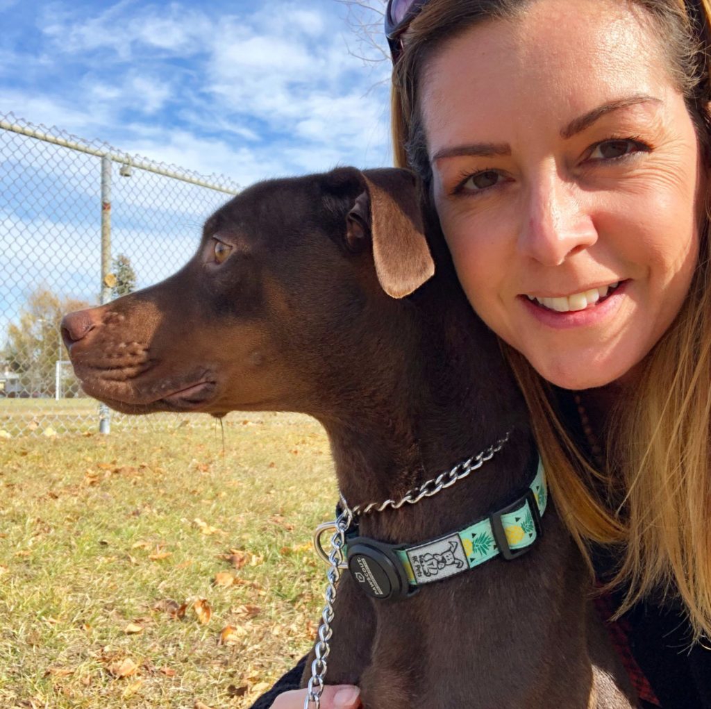 wisdom panel dog dna, review, report, breakdown, what does it show
