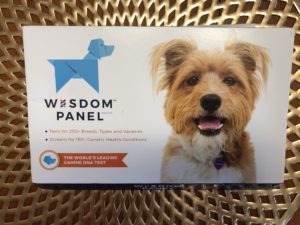 wisdom panel, dog dna, test, kit, review, erin, canada, blogger, vlogger, tech, how to,