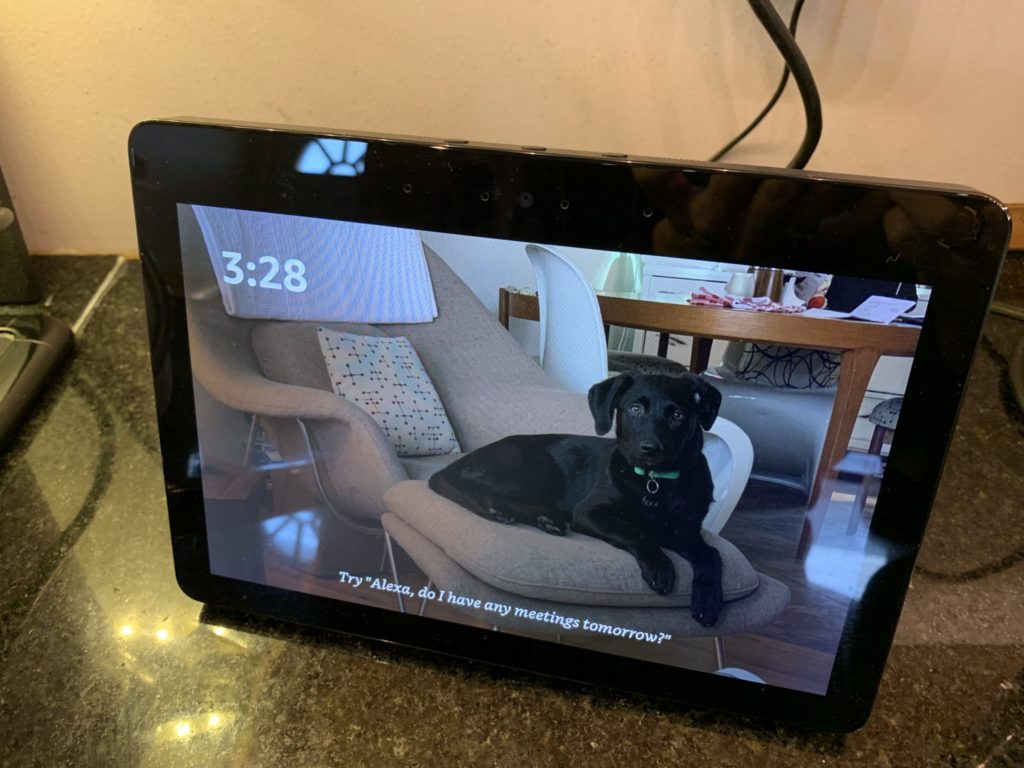 amazon echo, show, review, how to, drop in