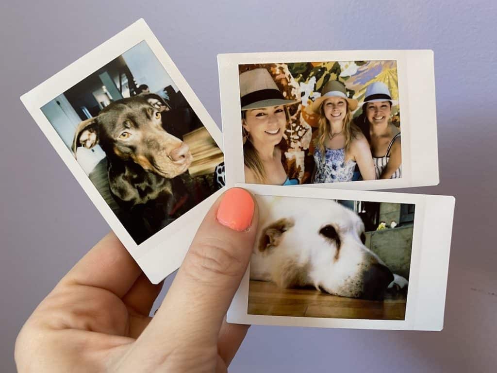 Fujifilm, instax, mini link, printer, review, photo, quality, how to, worth it