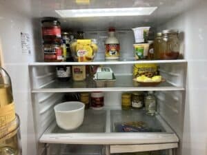 LG, fridge review, bottom freezer, LDS2222,