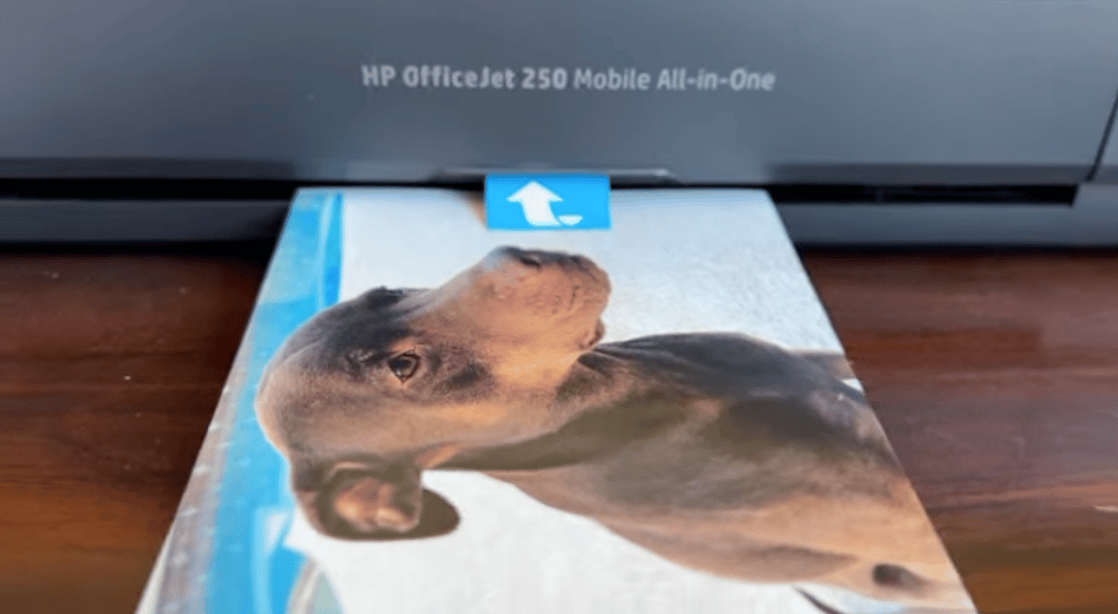 HP Office Jet 250 Printer, wireless, battery powered, review