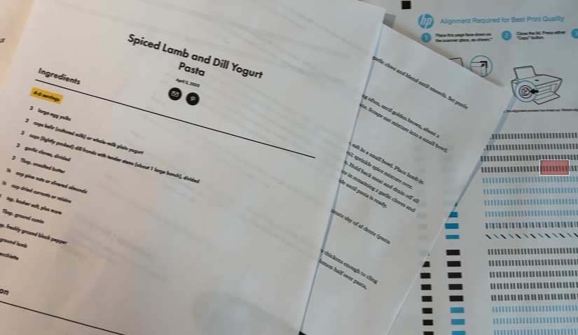 HP Deskjet 2755e printer review