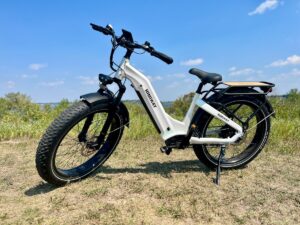 Himiway Zebra ebike review